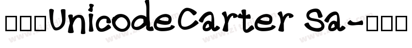 已激活UnicodeCarter Sa字体转换